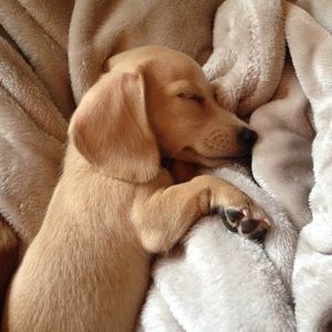 Meet your Posher, Regina